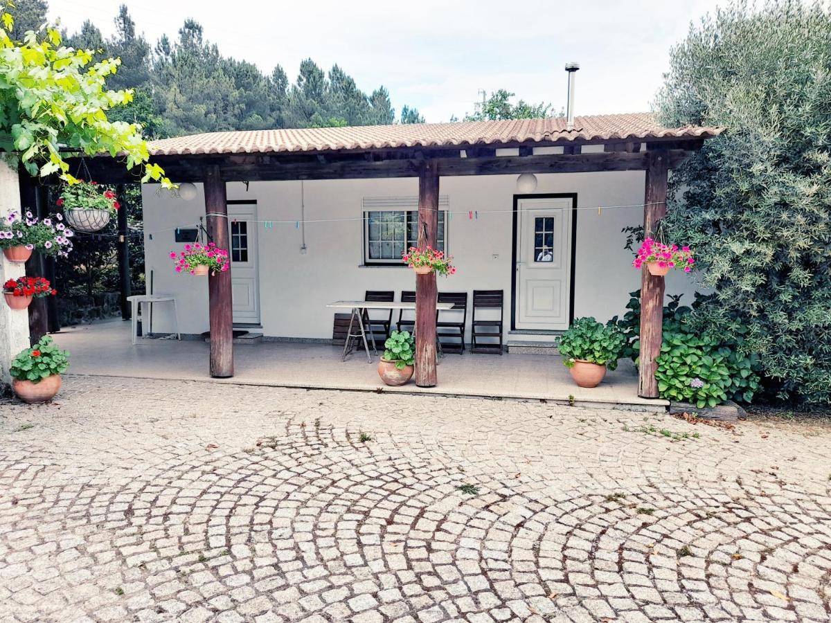 Casa Das Aveleiras - Satao Vila de Igreja Buitenkant foto